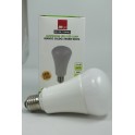 lampada a led e27 14w bianco caldo