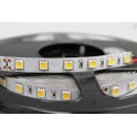 striscia led 24v 14w/m bianco caldo ip20