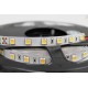 Striscia a LED 24V 14,4W/m Colore Bianco Caldo IP20