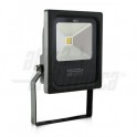 proiettore a led 10W bianco naturale