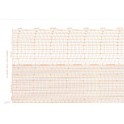 Fogli Diagrammali per Termoigrografi - Confezione da 55 Fogli