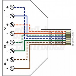 connettore, rj45, con, terminali, a