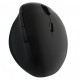 MOUSE OTTICO WIRELESS ERGONOMICO