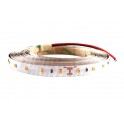 striscia led 24v 23w/m bianco freddo ip20