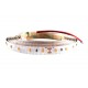 Striscia a LED 24V 23W/m Colore Bianco Freddo IP20