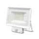 Proiettore a Led 20W con IR Colore Bianco Naturale