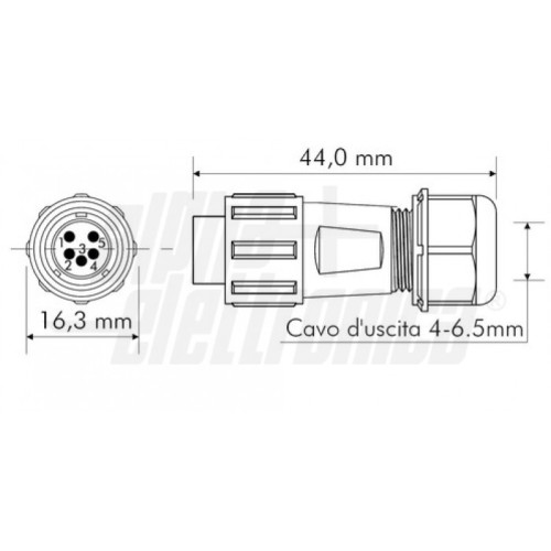 CONNETTORE MASCHIO VOLANTE 5P IP68 SP11