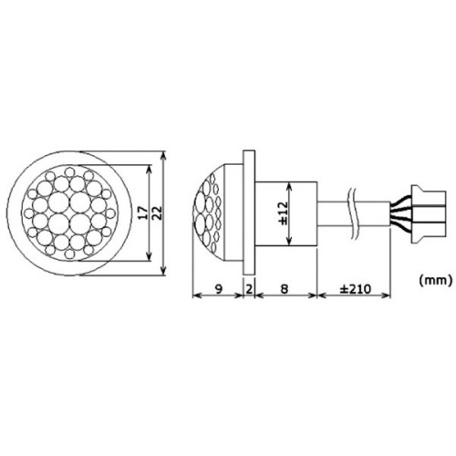 Sensore PIR con Centralina 12V