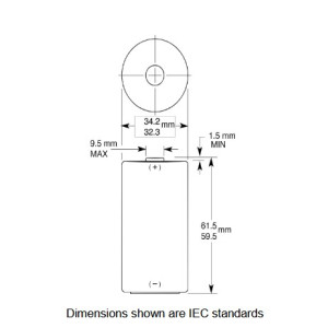 Pila Torcia 1,5 V Alcalina Size D Procell 2