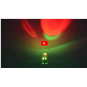 Led Bicolore 5 mm 2 Terminali 2