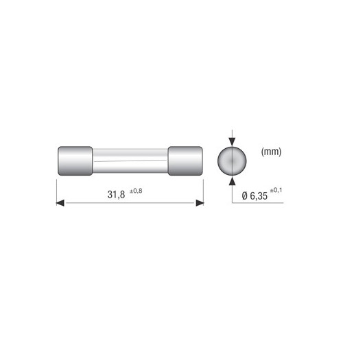 FUSIBILE 6,3X32 10A  RAPIDO 