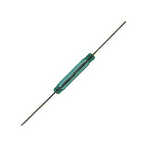 AMPOLLA REED 1 LAVORO