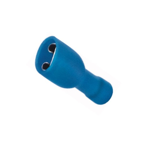 FASTON FEMMINA ISOLATO- BLU