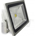 proiettore a led 50W bianco naturale