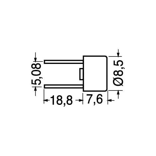 FUSIBILE MICRO C.S. 315MA RITARDATO 