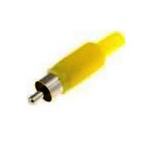 Spine RCA Spine RCA