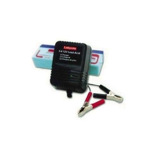 Caricabatterie per batterie al piombo