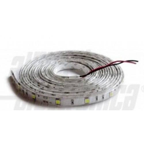 Nastri flessibili led-Monocromatici-12V